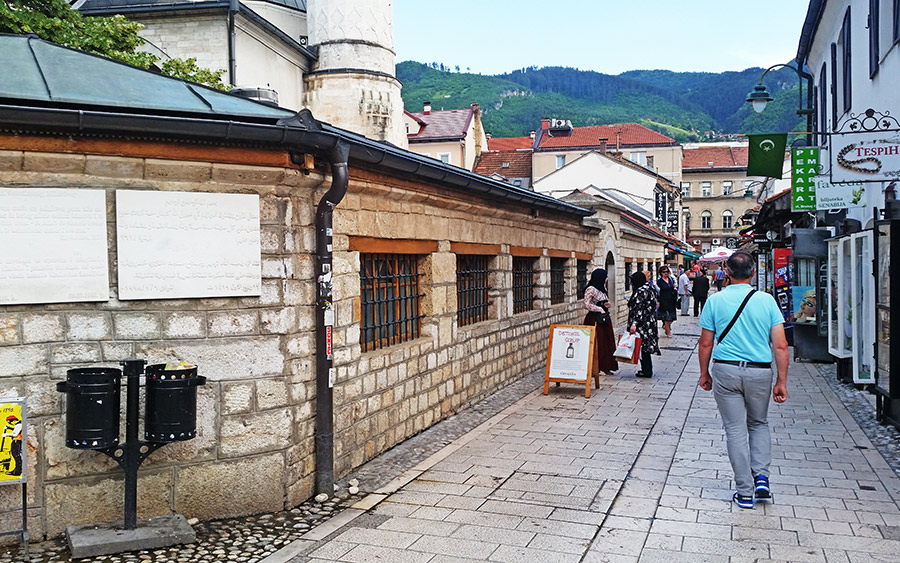 Mudželiti veliki 